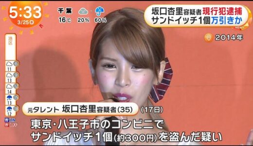 【2026年版】過去に逮捕・書類送検歴のある25人の芸能人まとめ